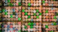 Batu Bata Daur Ulang: Mengurangi Sampah Plastik dengan Inovasi Terbaru